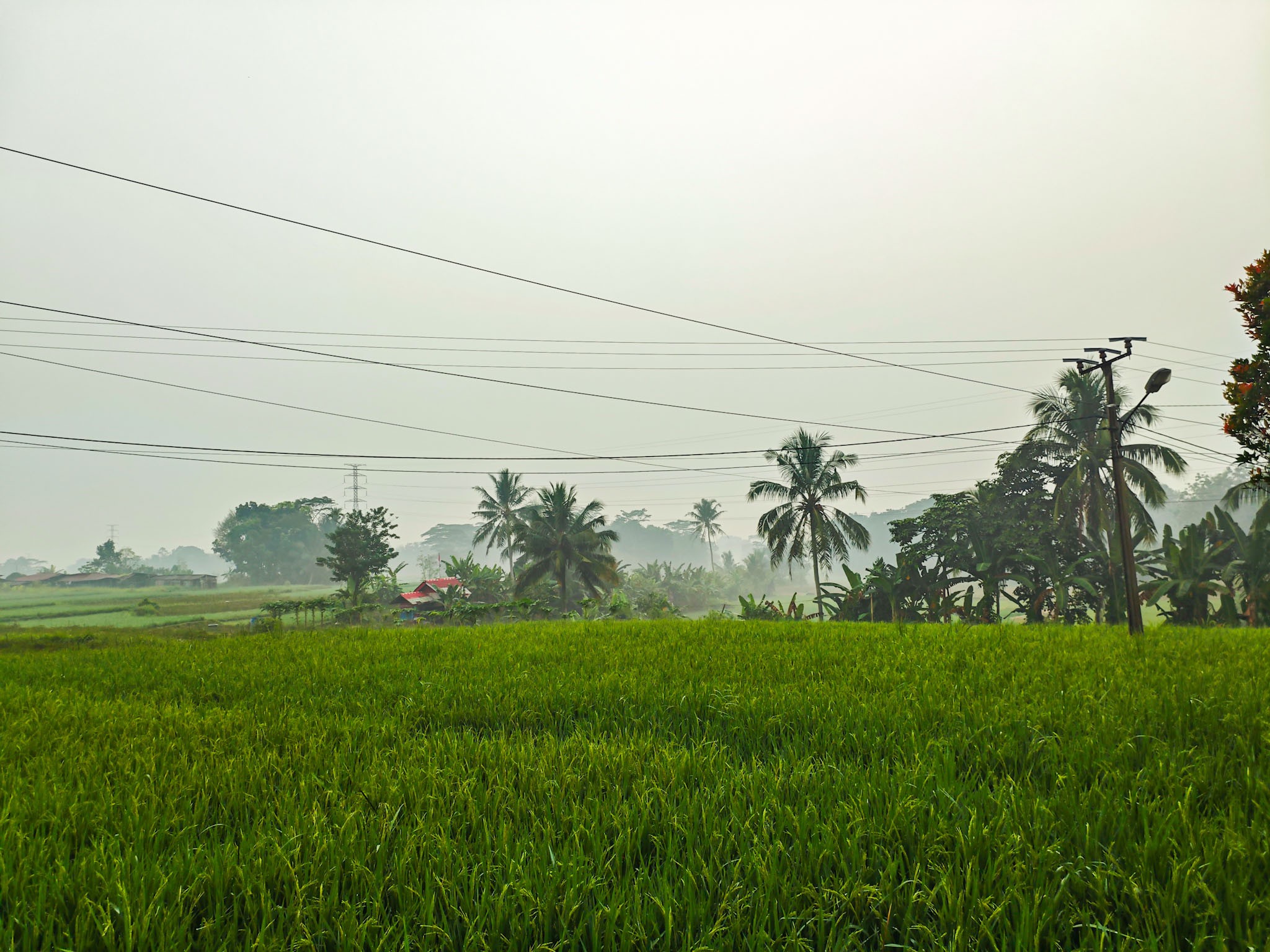 Foto Geografis Desa Padasuka